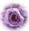 �p�ϥ�